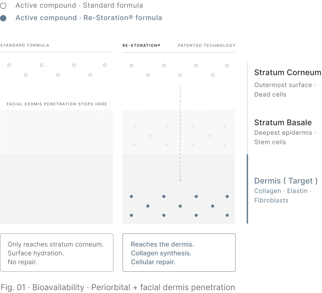 Bioavailability diagram