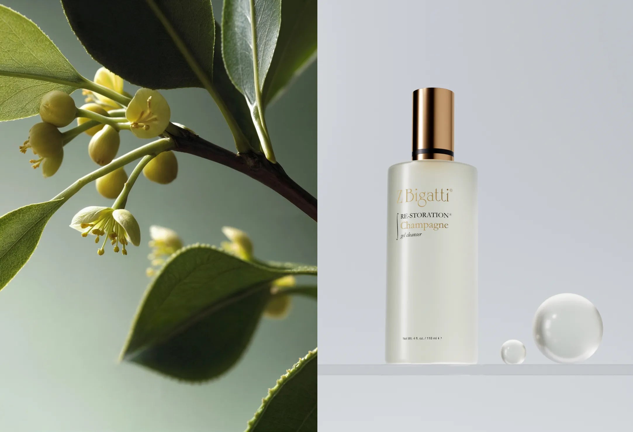 side-by-side image of zBigatti Champagne Cleanser and Ingredient