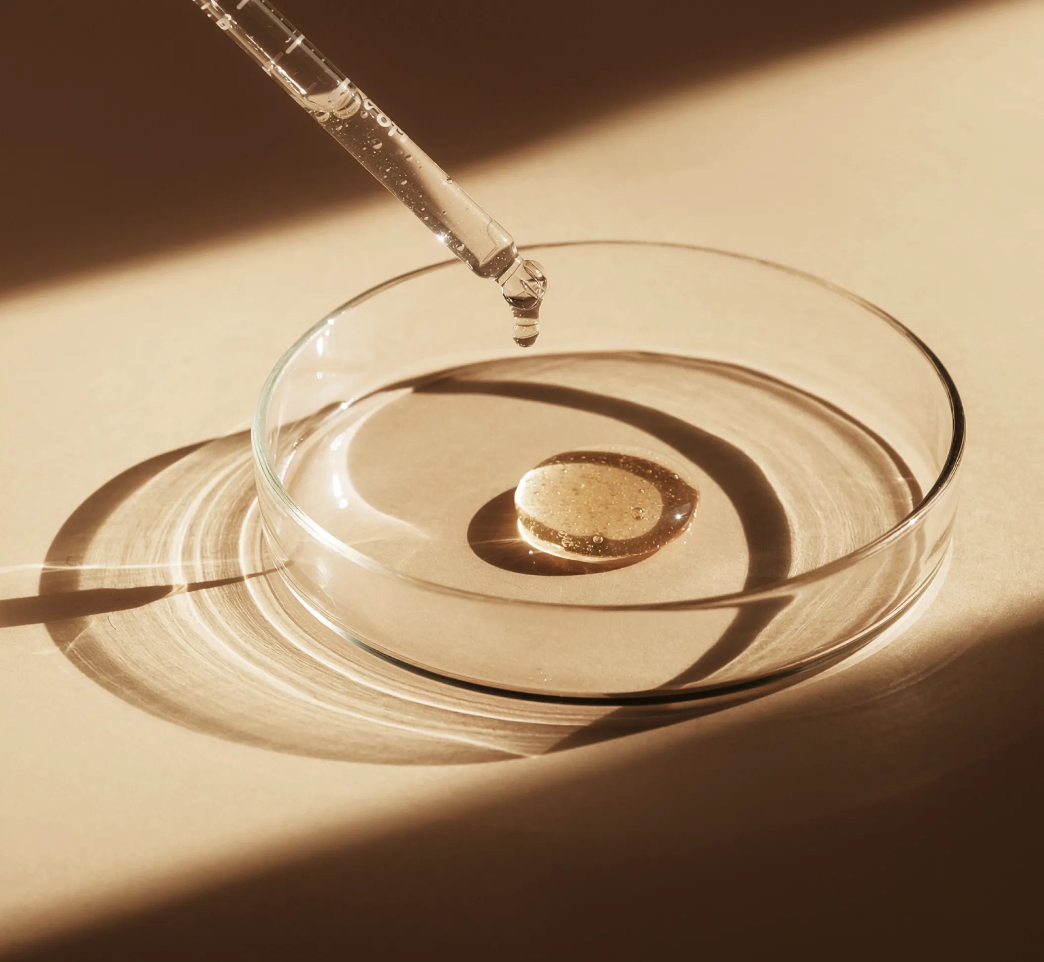 zBigatti Formula Petri-dish